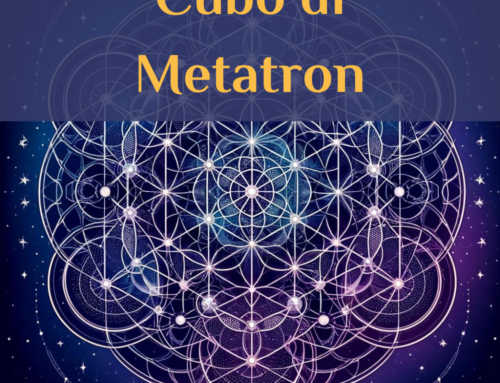 Cubo di Metatron: Il Frutto della Vita