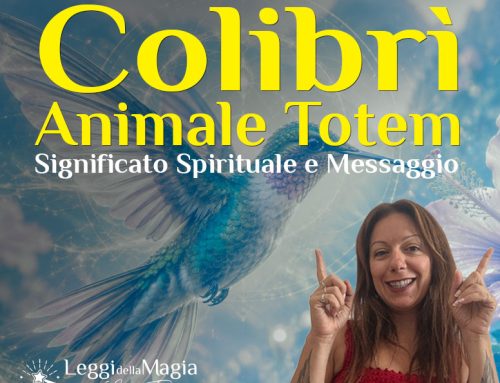 Animale Totem Colibrì: Significato Spirituale e Messaggio