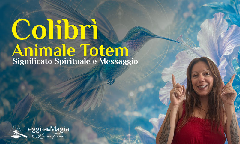 Significato Colibri Animale Totem